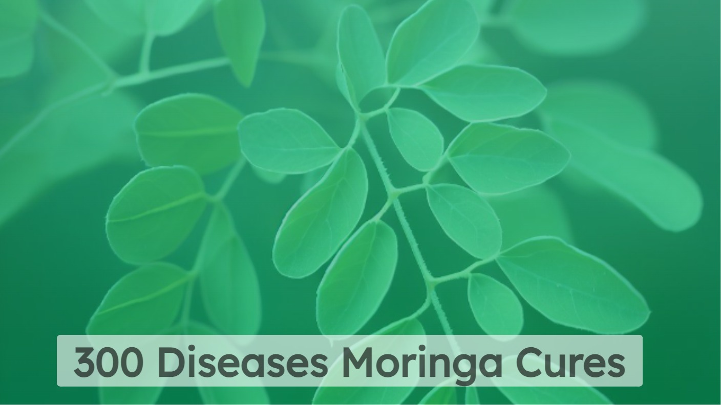 300 Diseases Moringa Cures