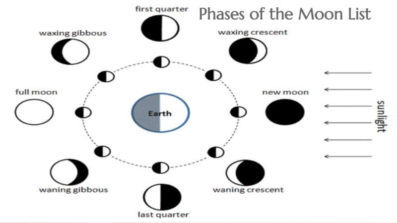 Phases of the Moon List
