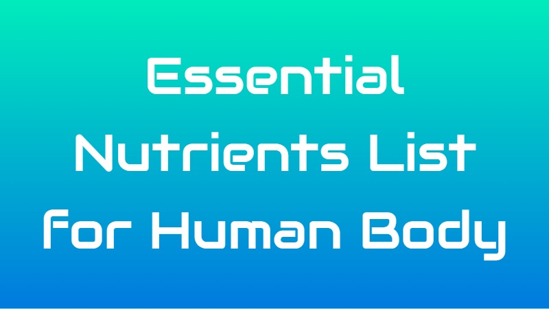 Essential Nutrients List