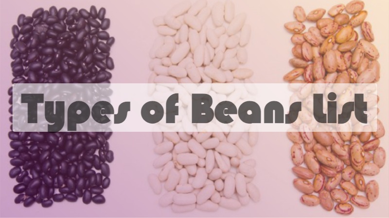 Types of Beans List