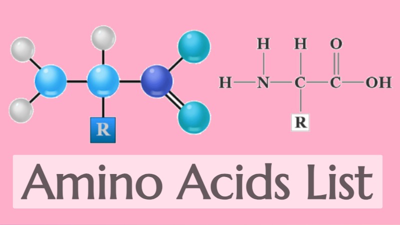 Amino Acids List