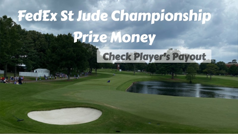 Fedex St Jude Championship Payout